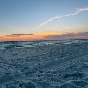 Meet your Posher, Savannah